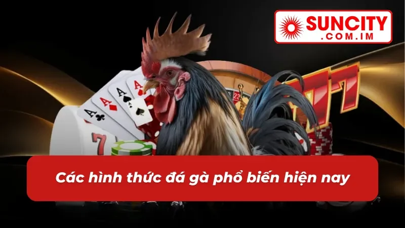 Tổng hợp các hình thức đá gà phổ biến hiện nay