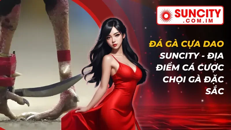 Đá Gà Cựa Dao - Địa Điểm Cá Cược Chọi Gà Đặc Sắc Tại SUNCITY 5 Đá Gà Cựa Dao - Địa Điểm Cá Cược Chọi Gà Đặc Sắc Tại SUNCITY